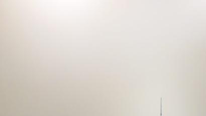 Bild: wsu
Der Künstler László Fehér stellt in der „Galerie Andrea Madesta“ aus.