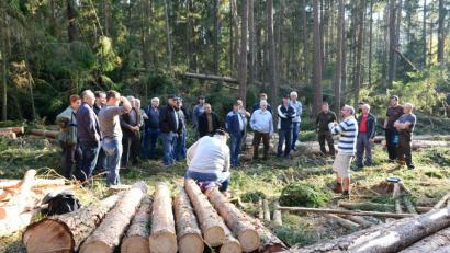 Bild: bey
Vorne bereits auf Länge geschnittenes Holz, hinten noch „unter Spannung“ liegende Baumstämme. Beim Beseitigen der Sturmschäden sollen die Waldbesitzer Ruhe bewahren, um lebensgefährliche Situationen zu vermeiden. Tipps geben Michael Bock (gestreiftes Shirt), Andrea Sauer (links), Jörg von Krieglstein (rechts) und Georg Forster (Dritter von rechts).
