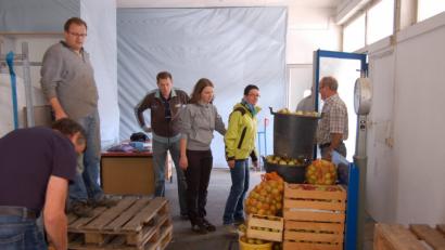 Bild: bas
Helfer des Obst- und Gartenbauvereins Freudenberg/Wutschdorf und des Landschaftspflegeverbands bei der Annahme der angelieferten Äpfel.