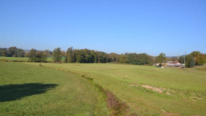 Bild: gi
Die Renaturierung des Gruberbaches soll das Bächlein wieder in seinen früheren Zustand versetzen, um die EU-Wasserrahmen-Richtlinie erfüllen zu können.