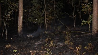 Bild: Alexander Auer
Bei Bernhardswald hat ein Waldstück gebrannt.