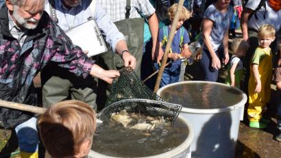 Bild: bnr
So viele Fische auf einmal. Die Kinder wussten nicht ,wo sie zuerst hinschauen sollten.