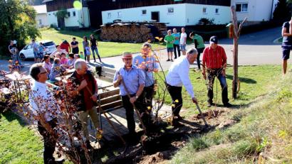 Bild: ds
Landrat Richard Reisinger legt selbst Hand an bei Pflanzung. Unterstützung bekommt er von Heinz Faderl (rechts), Kreisfachberater Arthur Wiesmet (vom Laub verdeckt), Bürgermeister Winfried Franz, 3. Bürgermeister Herbert Pilhofer und 2. Bürgermeister Wolfgang Rattai (von rechts).