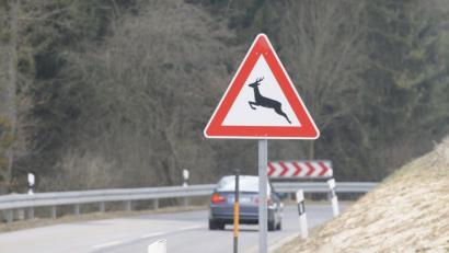 Bild: Petra Hartl
Das Verkehrsschild „Wildwechsel“ wird von vielen Autofahrern oft gar nicht richtig zur Kenntnis genommen. Dabei erreicht die Zahl der Wildunfälle jedes Jahr ein enorme Größe.