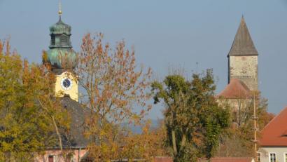 Bild: dob
Wegen fehlender Bauplätze könnte der idyllisch gelegene Ortsteil Waldau mit Burganlage und St.-Johannes-Nepomuk-Kirche in naher Zukunft aussterben, befürchtet Harald Striegl.