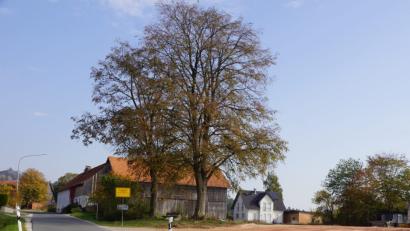 Bild: bkr
Am Ortseingang entsteht ein neuer Pferdestall. Er soll den Streit ausgelöst haben.