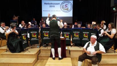Bild: e
Musikverein Haselmühl-Kümmersbruck beim Herbstkonzert.