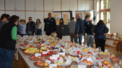 Bild: eya
140 Apfel- und 10 Birnensorten wurden ausgestellt. Besucher konnten mitgebrachte Äpfel von Michael Altmann auf ihre Sorte hin bestimmen lassen.