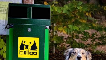 Bild: gef
Collie Chief neben einer der neu errichteten Hundetoiletten in Freudenberg.