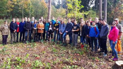Bild: mef
Die Schüler des Gymnasiums Neustadt und ihre Lehrkräfte helfen bei der Waldarbeit.