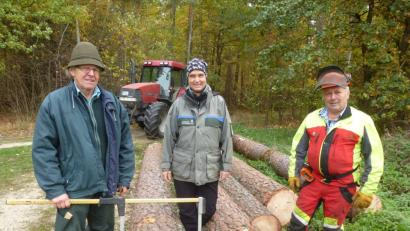 Bild: bk
Gemeindewald