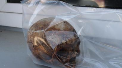 Bild: Kriminalpolizei Amberg
Dieser Schädel, der beim Abriss einer Garage in Amberg gefunden wurde, kann einem erwachsenen Mann zugeordnet werden. Er weist keine Spuren von Verletzungen auf.