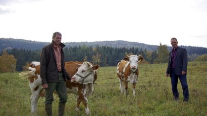 Bild: fph
Da staunt der Hohenberger Bürgermeister Jürgen Hoffmann (rechts): Vom Aussterben bedroht sind die Hinterwälder Kühe. Bei Martin Dengler grasen sie ungestört auf der Weide. Beim Handwerker- und Erntemarkt am Wochenende haben sie ihren großen Auftritt.