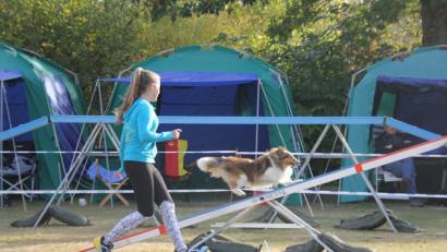 Bild: ads
Die Bewältigung der Wippe im Parcours ist für Mensch und Hund immer wieder eine Herausforderung, die starke Nerven fordert.