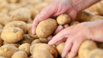 Bild: Uwe Anspach/dpa
Symbolbild