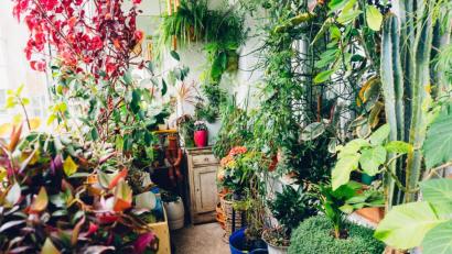 Bild: Travel_Master – stock.adobe.com
Düngen, Umtopfen, Gießen sind nicht nur naturnahe Erlebnisse für unsere Sinne, sondern fördern auch eine ganz besondere Verbindung zwischen uns und unseren Pflanzen.