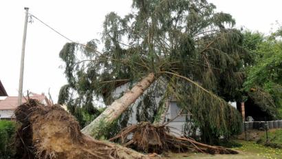 Bild: Stephan Huber
Stürme können enorme Schäden anrichten.
