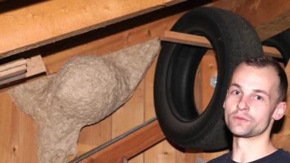 Bild: fvo
Christoph Fröhlich kann nun ungehindert das architektonische Wunderwerk der Wespen inspizieren