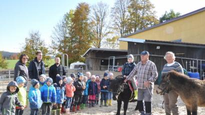 Bild: es
Großen Spaß hatten die Buben und Mädchen der Gruppe "Schlaufüchse" des Kindergartens "St.Martin" am Montag bei ihrem Ausflug zum Ponyhof "Beim Wilhelm" von Konrad und Christine Reisinger in Kleinschwand.