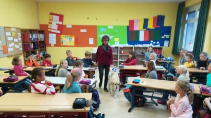 Bild: fz
"Such Tür", sagt Kerstin Schubert zu Hündin Nora. Die führt sie durch die Stuhlreihen aus dem Klassenzimmer raus.