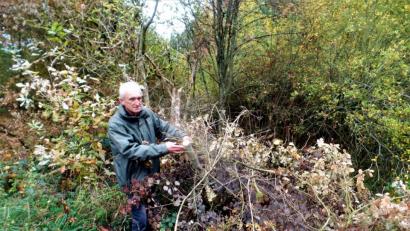 Bild: jml
Im hinteren, weitgehend naturbelassenen Teil des Waldvereins-Grundstücks hat ein Naturverschandeler mit der Motorsäge gewütet und etliches Ast- und Stamm-Material einfach in das Grundstück geworfen. Naturschützer Bernd Bauer muss es nun entsorgen.