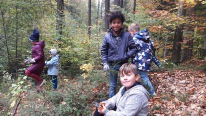 Bild: exb
Die Kinder bei der Arbeit im Wald.