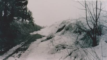 Bild: gi
Viele Hohlwege verschwanden in den Flurbereinigungsverfahren, denn sie waren Hindernisse für die immer größer werdenden landwirtschaftlichen Fahrzeuge.