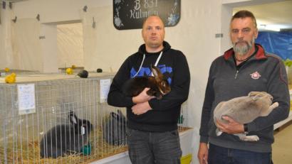 Bild: ak
Ausstellungsleiter Alexander Sporr (links) und sein Stellvertreter Wolfgang Liedl präsentieren zwei tolle Kaninchen.