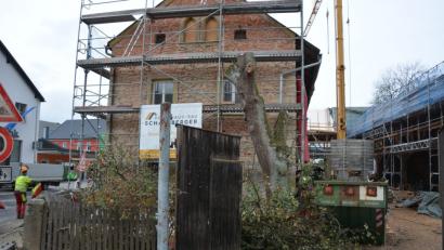 Bild: jr
Geschichte ist der mehr als 100 Jahre alte Birnbaum vor dem Schafferhof-Anwesen.