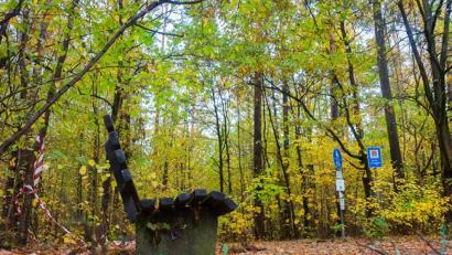 Bild: Michael Schade
Herbst in der Oberpfalz.