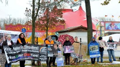Bild: Stephan Huber
Trotz des Dauerregens demonstrieren die Tierschutz-Aktivisten am Sonntag mit Plakaten und Transparenten vor dem Dultplatz.