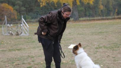 Bild: Adele Schütz
Junge Hunde lernen schnell.