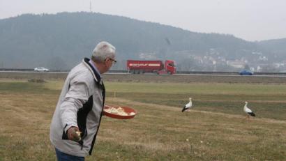 Bild: bl
Storchenbetreuer Karl Beer hat die Nabburger Störche in so manchem harten Winter mit Eintagsküken gefüttert. Auch heuer sah es so aus, als wollten die Altstörche hier überwintern, während es den Nachwuchs in den Süden zog. Nun hält nur noch ein Storch die Stellung auf dem Horst .