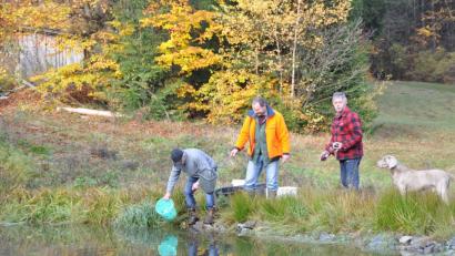 Bild: es
Toni Wolf, Thomas Parton und Förster Josef Weber (von links) setzen am Weiher an der Forstwiese Nachwuchsfische gefährdeter Arten ein.