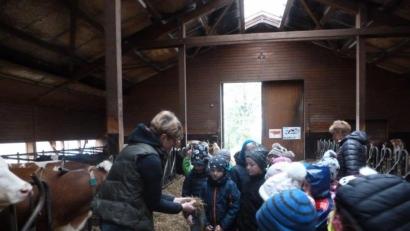 Bild: axs
Die Kinder der 2.Klasse der Grundschule Bärnau besuchten den Erlebnisbauernhof der Familie Fischer in Naab. Gemeinsam mit Petra Fischer erkundeten sie dabei auch den Kuhstall.