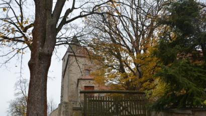 Bild: dob
Burganlage Waldau im Novemberlicht