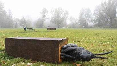 Bild: Petra Hartl
Vandalismus auf der Bleichwiese beim ACC