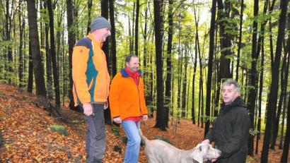 Bild: es
Förster Josef Weber (rechts) informiert bei einem Ortstermin Forstwirtschaftsmeister und Einsatzleiter Markus Lang und Servicestellenleiter Thomas Parton (von links) über die Maßnahmen der Bayerischen Staatsforsten im geologischen Lehrpfad.