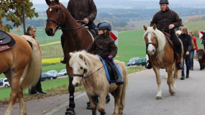 Bild: pko
Auch Ponys waren beim Leonhardiritt zu sehen.