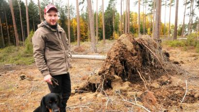 Bild: ge
Sturmwürfe entdecken und aufarbeiten lassen, ist eine der Aufgaben von Förster Julian Sauter. Stets dabei ist Erco, der österreichische Brandlbracken-Rüde. Auch er hat Tradition: Bracken sind die ältesten Jagdhunde Europas.