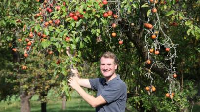 Bild: exb
Florian Lang inspiziert eine Streuobstwiese. In diesem Jahr gibt es eine Obstschwemme. Und auch wenn das Obst vom Menschen nicht verarbeitet werden kann, bleibt dennoch nichts ungenutzt. Wild, Pilze und Kleinstlebewesen freuen sich über die Früchte.