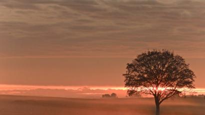 Bild: idu
Nebel hüllt die Bäume in Watte. Ungewöhnlich schöne Sonnenaufgänge hier oben am Berg bei Pichlberg