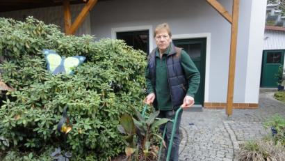 Bild: privat
Josef Höllerl, Vorsitzender des Obst- und Gartenbauvereins Speinshart, lagert seine Kübelpflanzen den Winter über trocken und wettergeschützt im Keller.
