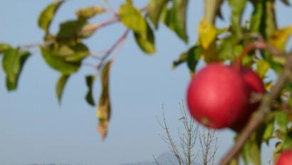 Bild: rn
Die Gründung der Tschechoslowakischen Republik vor einem Jahrhundert hatte auch Auswirkungen auf Speinshart: Abt Gilbert Helmer von Tepl kaufte 1921 das Kloster für seinen Stift, um im Falle der Ausweisung durch den neuen Staat eine Bleibe zu haben.