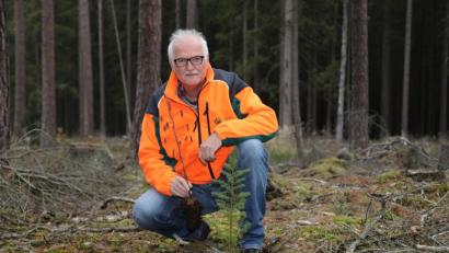 Bild: Gerhard Götz
Förster Stefan Bösl hält einen von zigtausenden verdorrten Setzlingen in den Händen. Die junge Douglasie vor ihm hat es geschafft.