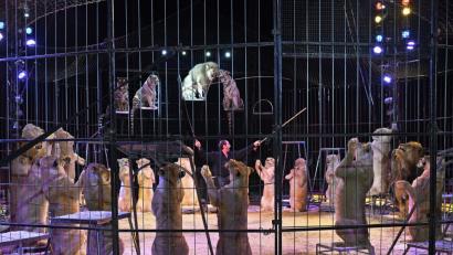 Bild: Petra Hartl
Die größte gemischte Raubtiergruppe der Welt präsentiert der mehrfach mit goldenen und silbernen Clowns beim Zirkusfestival in Monte Carlo ausgezeichnete Star-Dompteur Martin Lacey jr. im Zentralkäfig. Der Höhepunkt der Aufführung sind 20 hochsitzende Löwen.