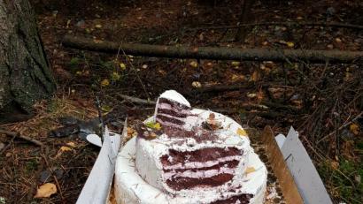 Bild: exb
Eine dreistöckige Cremetorte fand eine Waldsassenerin im Wald bei Pechtnersreuth.