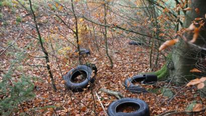 Bild: frd
Im Waldstück an der Gemeindeverbindungsstraße Gleiritsch-Zeinried hat ein Umweltfrevler fünf Autoreifen entsorgt. Die Gemeinde wird nun Anzeige erstatten.