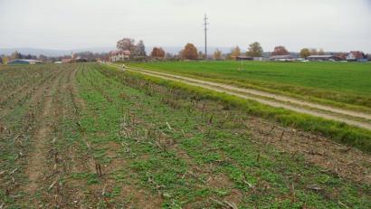 Bild: bkr
Der Erschließung des Abschnitts II im Bebauungsgebiet Steinäcker steht nichts mehr im Wege.