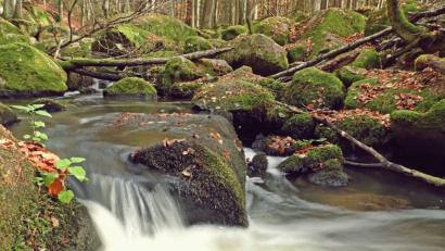 Bild: Uwe Hartl
Das Höllbachtal im Kreis Cham.